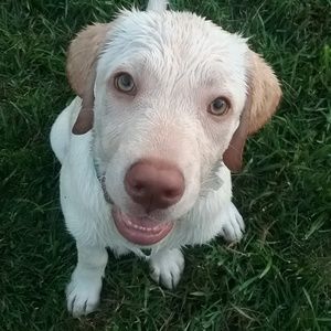 Meet your Posher, Debbie